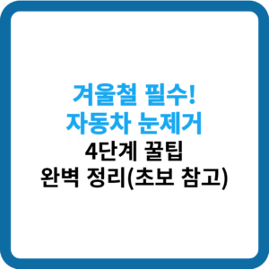 자동차 눈제거