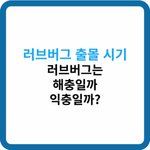 러브버그 출몰 시기 썸네일