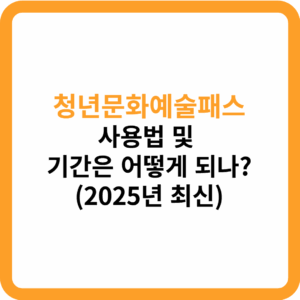 청년문화예술패스 사용법